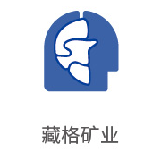 至尊国际合作伙伴：藏格矿业