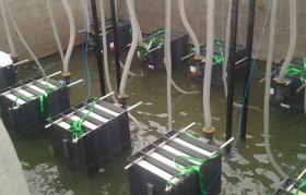 发电厂垃圾渗滤液水质特点是什么？