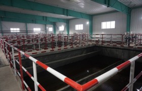豆制品污水水质特征有什么？处理难点和工艺有哪些？