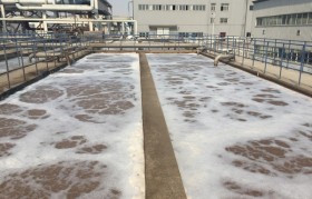 除磷剂是什么药剂？水里的总磷来自哪里？