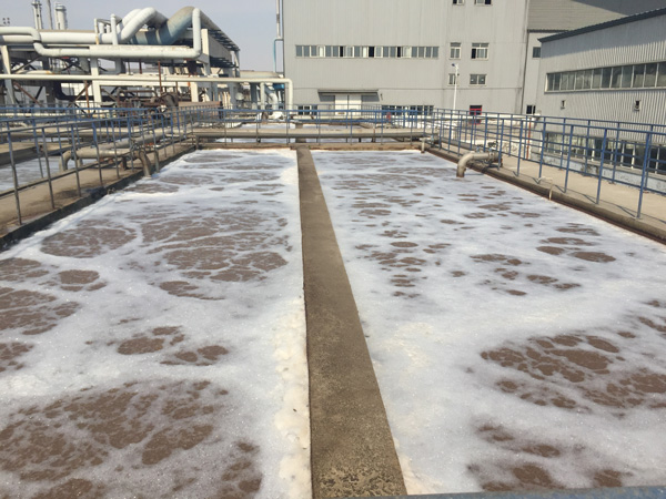 如何提高屠宰污水处理设备排污效率？